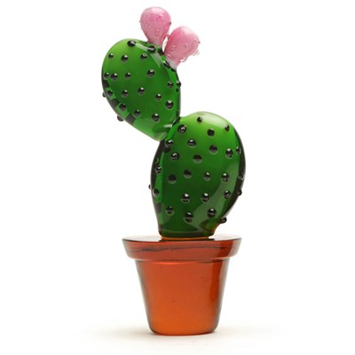 Mini Prickly Pear Cactus