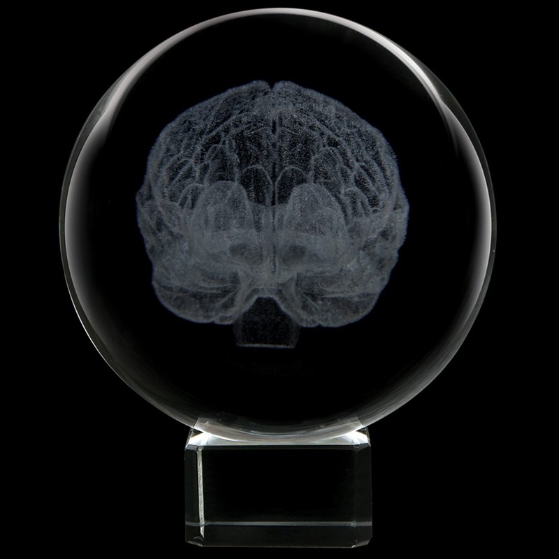 Crystal Sphere - Brain