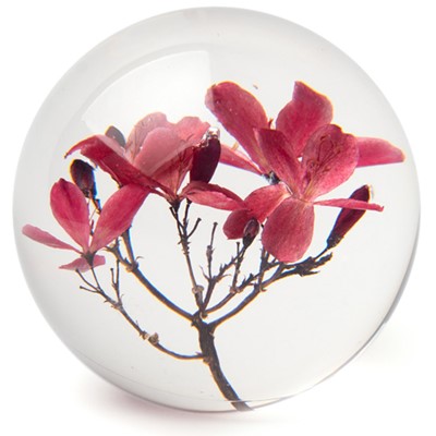 FloraCulture Paperweight - Crab Apple Blossom
