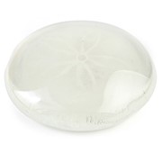 Sand Dollar - White Glow 72104W View 2