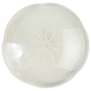 Sand Dollar - White Glow 72104W View 3