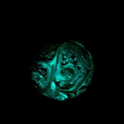 Glassdelights Ornament - Venus Glow LED 268100VN View 3