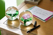 Large Paperweight - Pink Water Lily 91193P View 4