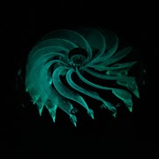 Large Paperweight - Milky Way Glow 91202 View 4
