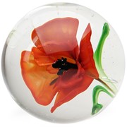 Medium Paperweight - Poppy 86126 View 4