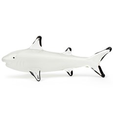 Blacktip Shark - White Glow