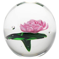 Large Paperweight - Pink Water Lily