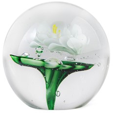 Large Paperweight - White Water Lily