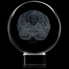 Crystal Sphere - Brain