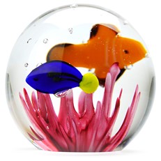 Small Paperweight - Tropical Fish