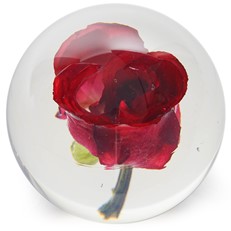 FloraCulture Paperweight - Red Rose