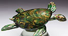 Gallery Sea Turtle