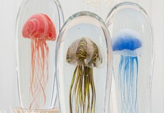 Tall Jellyfish