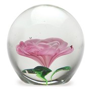 Medium Paperweight - Camelia 8652