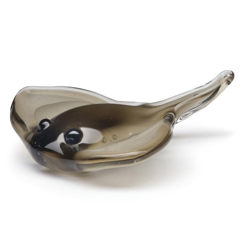 Baby Stingray 25429