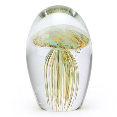 Baby Jellyfish - Confetti Glow