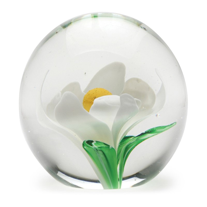 Medium Paperweight, Magnolia