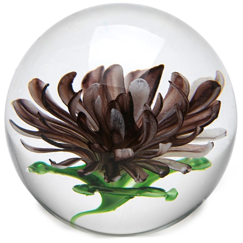 Medium Paperweight - Chrysanthemum Purple Glow