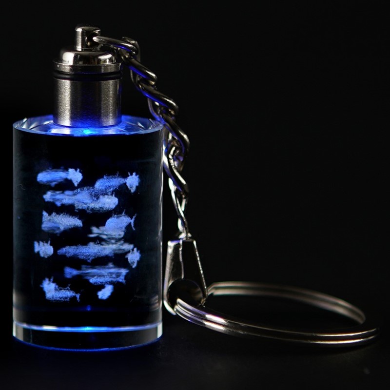 Crystal Keychain - School of Fish, Blue LED