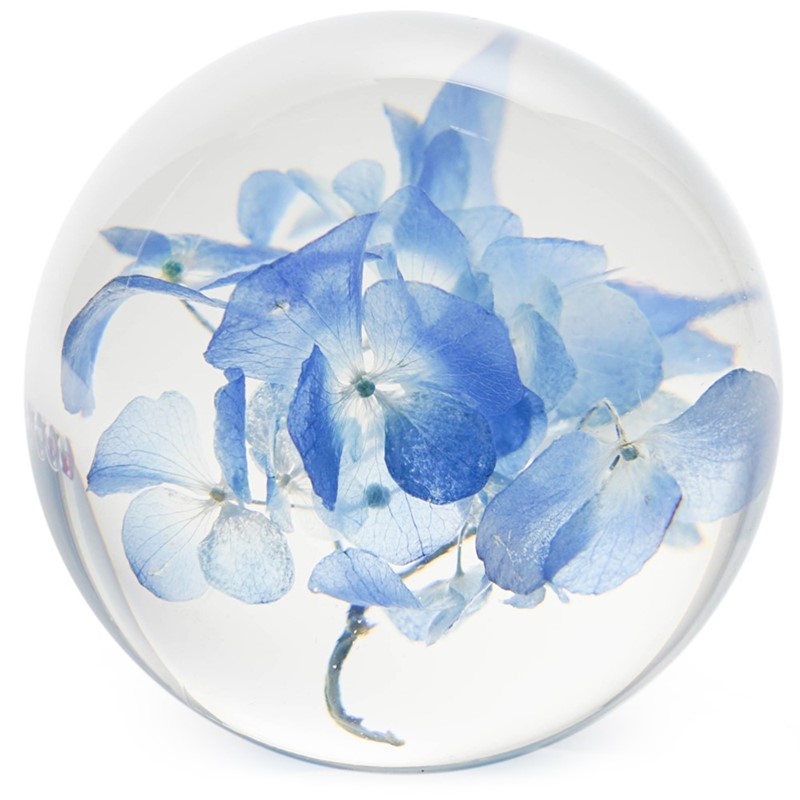 FloraCulture Paperweight - Hydrangea