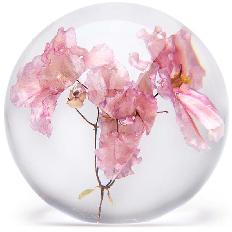 FloraCulture Paperweight - Pink Violet 6680VLP