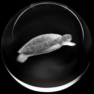 Crystal Paperweight - Sea Turtle