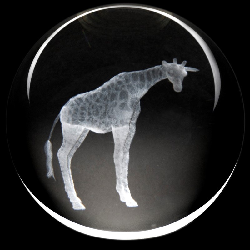 Crystal Paperweight - Giraffe