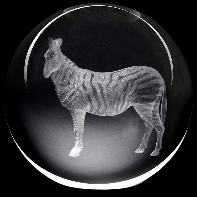 Crystal Paperweight - Zebra