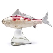 Gallery Koi Fish 25401 View 2