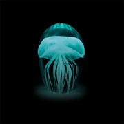 Baby Jellyfish (Multiple Colors) 84115 View 2