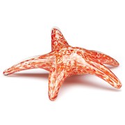 Walking Starfish - Orange Glow 84196OR View 2