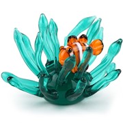 Mini Clownfish in Anemone 26672 View 2
