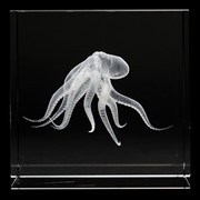 Crystal Cube - Octopus 51301OCT View 2