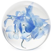 FloraCulture Paperweight - Hydrangea 6680HYD View 2