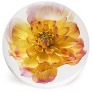 FloraCulture Paperweight - Yellow Dahlia 6680DHY View 2
