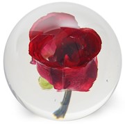 FloraCulture Paperweight - Red Rose 6680RSR View 2