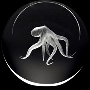 Crystal Paperweight - Octopus 51402OCT View 2