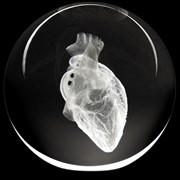 Crystal Paperweight - Human Heart 51409HT View 2