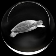 Crystal Paperweight - Sea Turtle 51402ST View 2