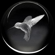 Crystal Paperweight - Hummingbird 51405HB View 2