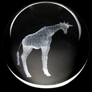 Crystal Paperweight - Giraffe 51406GF View 2