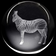 Crystal Paperweight - Zebra 51406ZB View 2