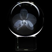 Orchid Crystal Paperweight 51405ORC View 2