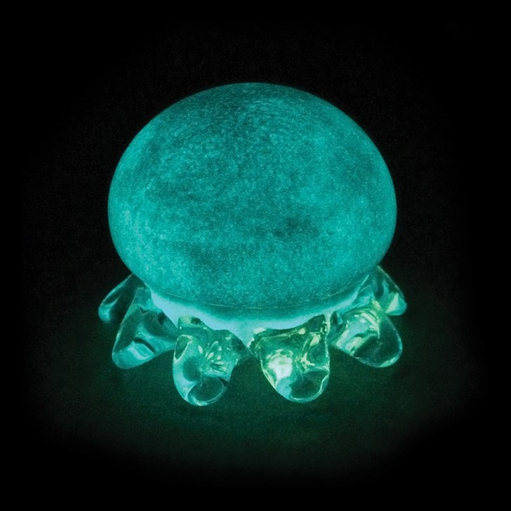 Blubber Jelly - Aqua Glow | Dynasty Gallery