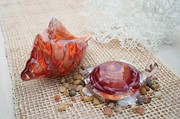 Seashell - Passion Red 25389-5 View 3