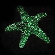Walking Starfish - Orange Glow 84196OR View 3