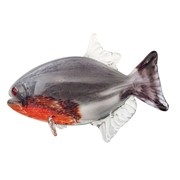 Red Belly Piranha 25019 View 3