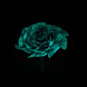 Medium Paperweight - Pink Rose Glow 85001 View 3