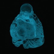 Laughing Buddha - Glow Vapor 25442GLW View 3
