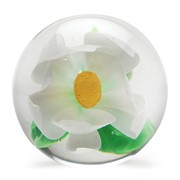 Medium Paperweight, Magnolia 8625 View 3